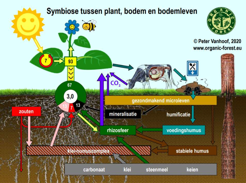 7 en 22 feb voor boeren en loonwerkers : Lezing bodemleven en mest in kringloop.